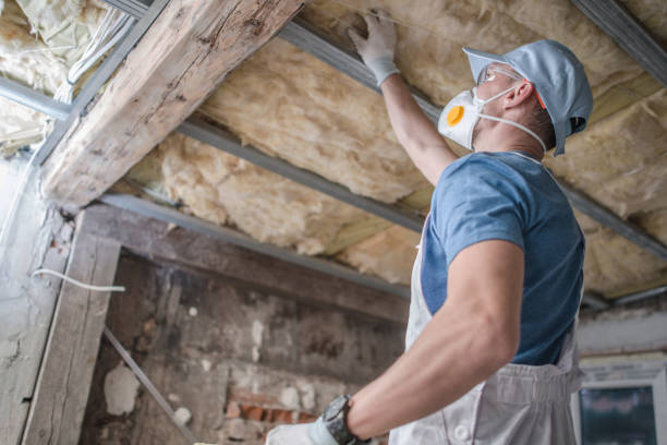 Best Insulation Maintenance and Repair in Bonny Doon, CA